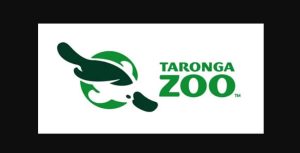 Tarong Zoo Sydney Head Office